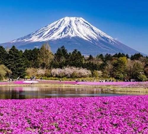 Japan Tour