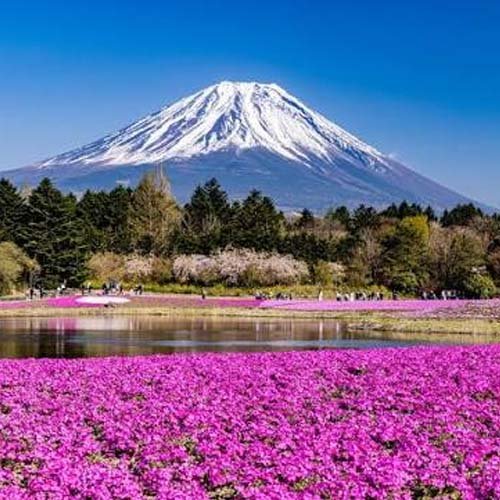 Japan Tour
